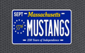 NHS Football | QZips